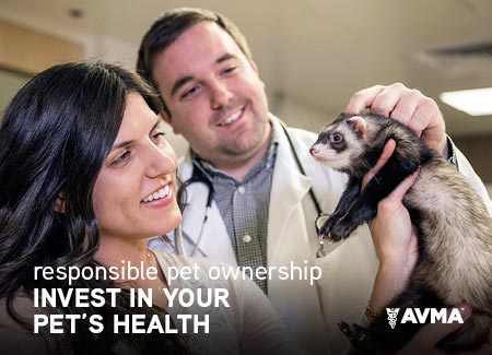 2016_04-06_PPLLC_BLOG_AVMA Responsible Pet Ownership_Photos-01