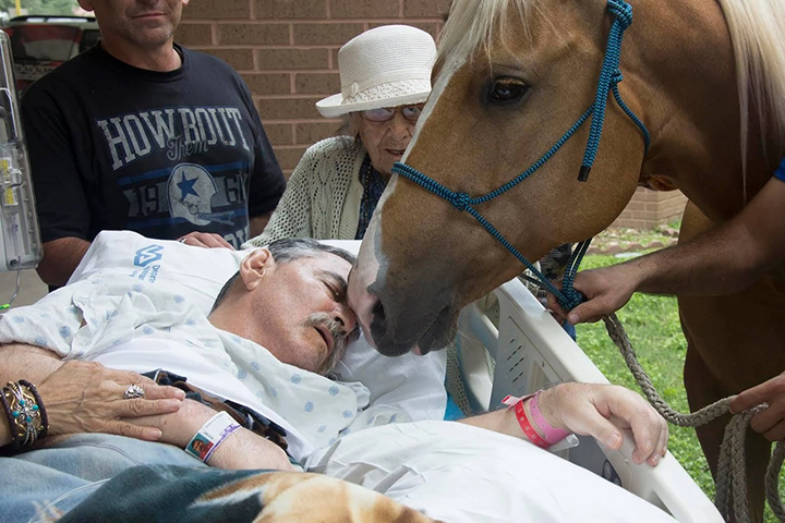 2016_05-23_PPLLC_BLOG_Dying veteran reunites with horses_01