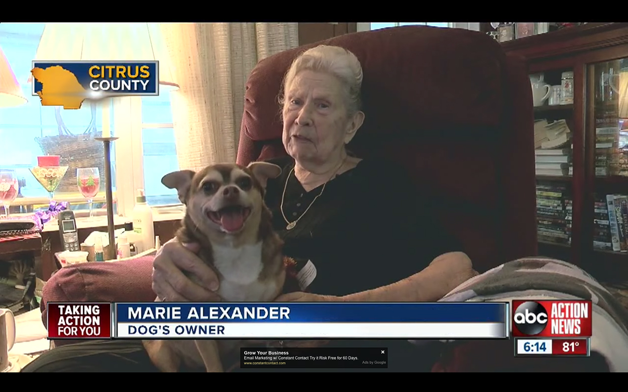 2016_09-07_PPLLC_BLOG_Chihuahua Saves 92-Year-Old Ladies Life-01